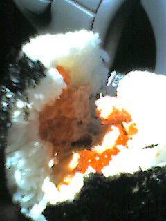 Onigiri5